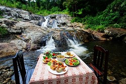 Relaxing waterfall in the background